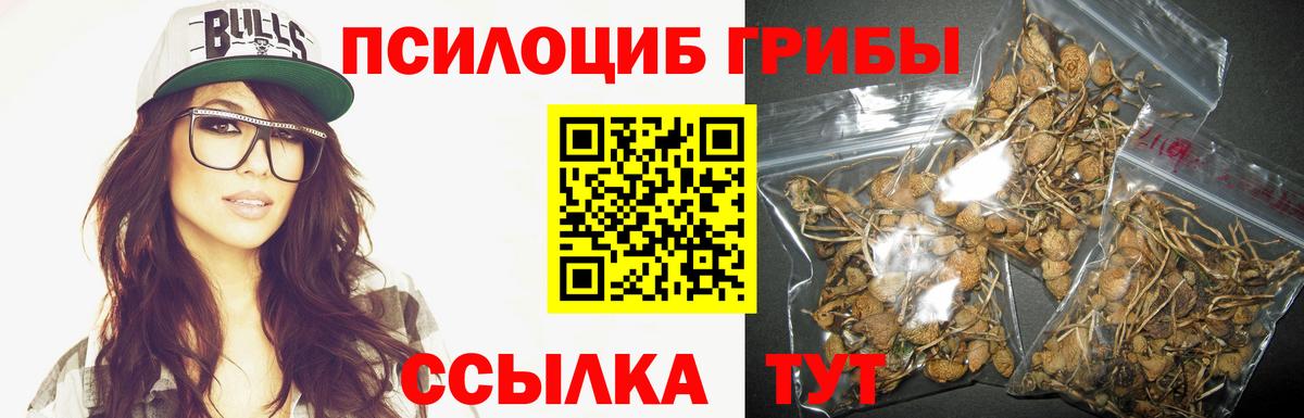 Галлюциногенные грибы Psilocybine cubensis  Галлюциногенные грибы Cubensis  Вход с VPN  Королёв 